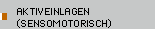 aktiveinlagen