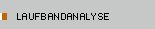 laufbandanalyse